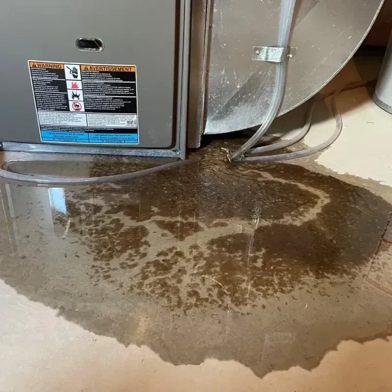 Appliance Leak Cleanup in Sunflower County, MS